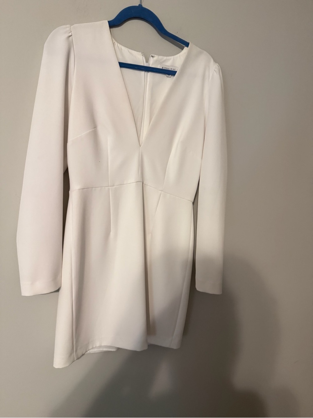 Gianni Bini Ivory V-Neck Long Sleeve Dress